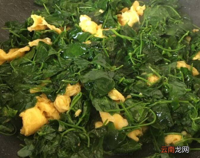 金花菜怎么炒