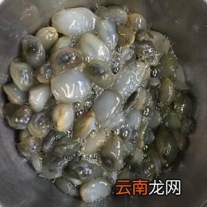 泥螺怎么炒