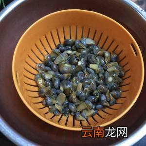 泥螺怎么炒