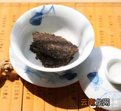 黑茶的花式冲泡方法,让您不单单只喝茶!