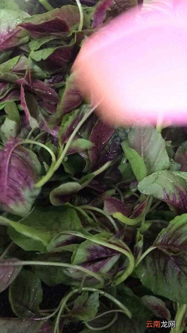 汉菜怎么炒好吃