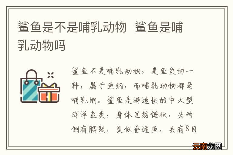 鲨鱼是不是哺乳动物鲨鱼是哺乳动物吗
