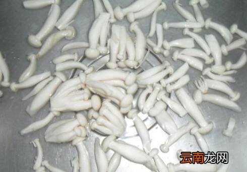 金福菇怎么炒