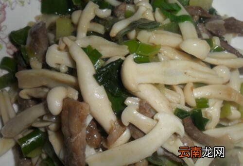 金福菇怎么炒