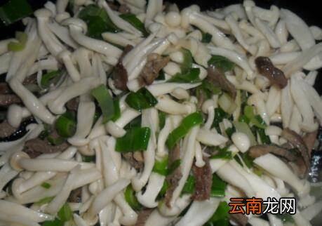 金福菇怎么炒
