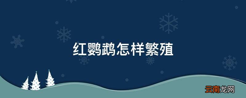 红鹦鹉怎样繁殖