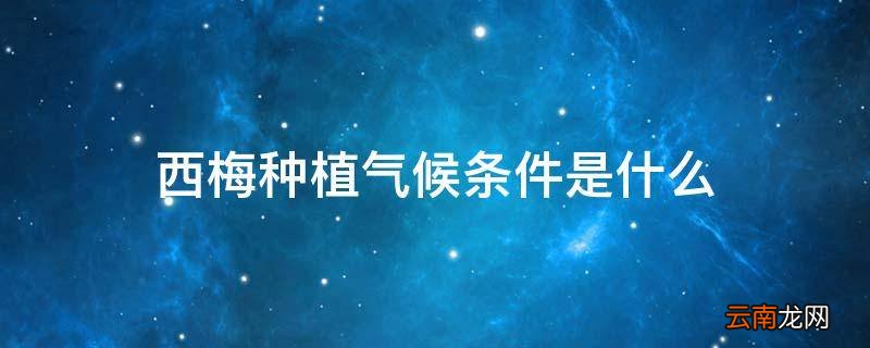 西梅种植气候条件是什么