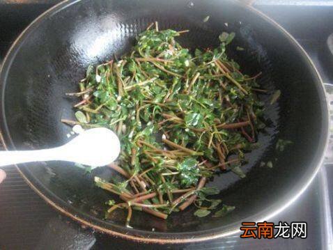 马齿笕怎么炒好吃