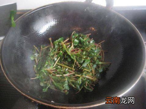 马齿笕怎么炒好吃