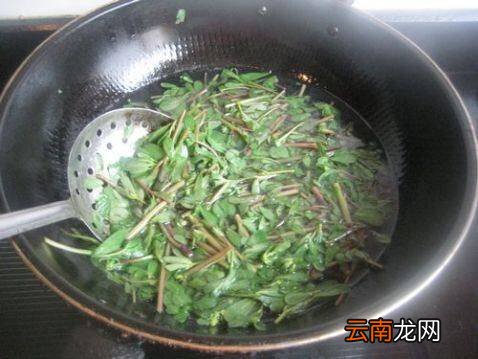 马齿笕怎么炒好吃