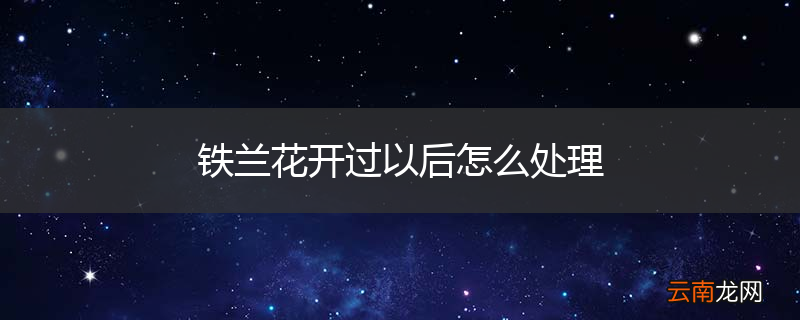 铁兰花开过以后怎么处理