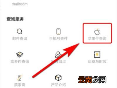 苹果邮件号dn号在哪里