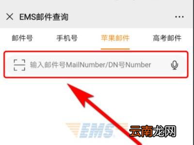 苹果邮件号dn号在哪里