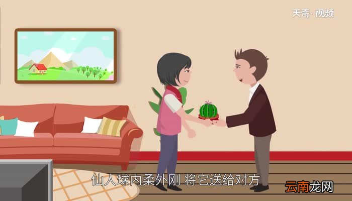 仙人球的花语 仙人球花语象征与寓意