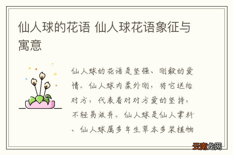 仙人球的花语 仙人球花语象征与寓意