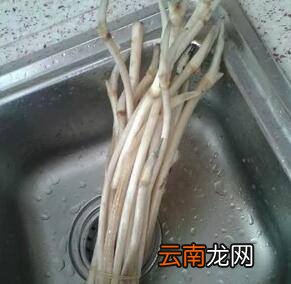 藕杆怎么炒