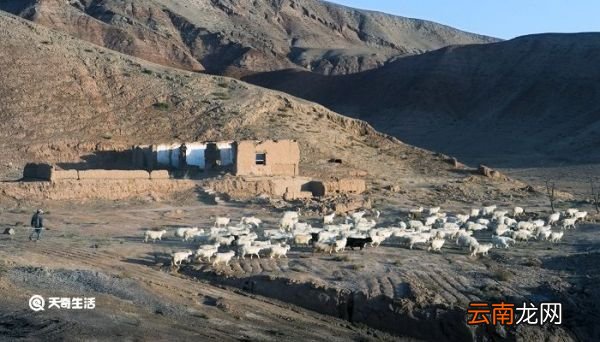 西海固是什么地方 西海固位于哪里