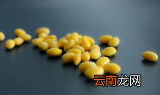 黄豆能放保鲜冰箱吗冬季 黄豆可以放冰箱保鲜吗
