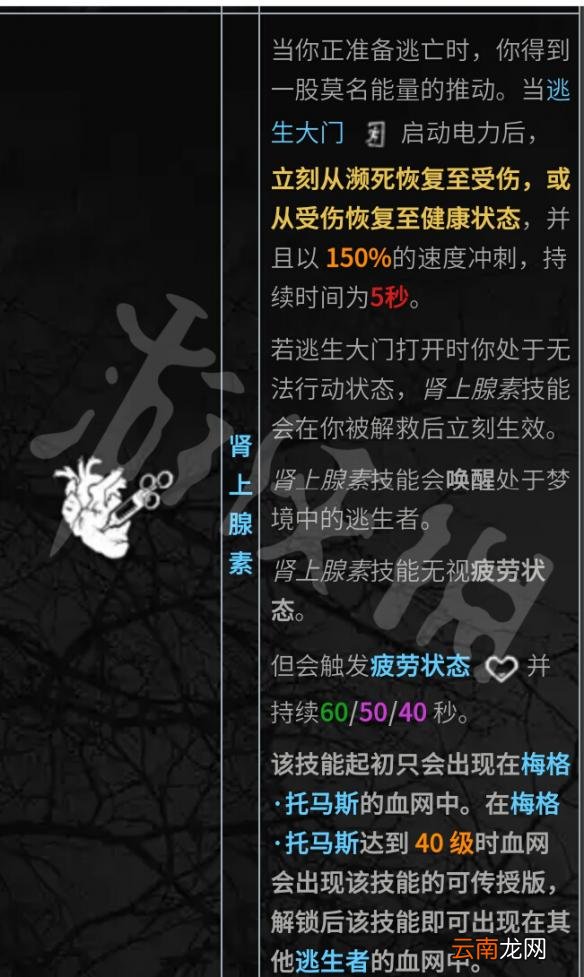黎明杀机全人物技能介绍评测 黎明杀机人类最强技能是什么 携手合作