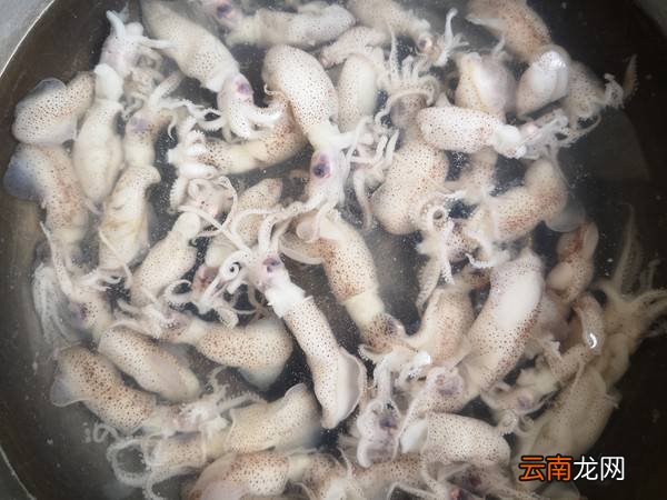 海兔怎么炒