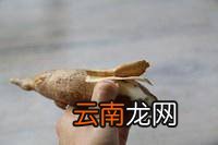木薯怎么炒好吃