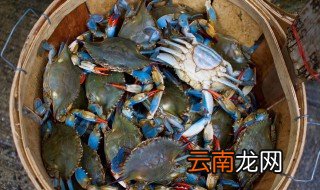 活的螃蟹能放冰箱保鲜嘛 活螃蟹能放冰箱保鲜里吗