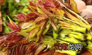 香椿能放冰箱冷藏吗 香椿能放冰箱里保鲜吗吗
