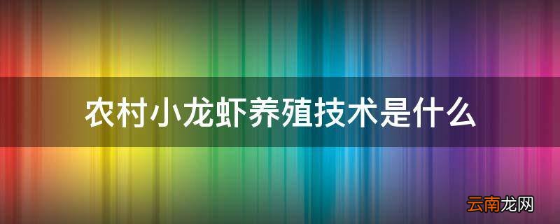 农村小龙虾养殖技术是什么