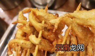 炸串蘑菇图片大全 炸串蘑菇是什么蘑菇