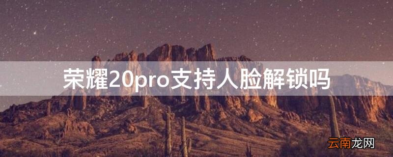 荣耀20pro支持人脸解锁吗 荣耀20pro支持人脸解锁吗怎么设置