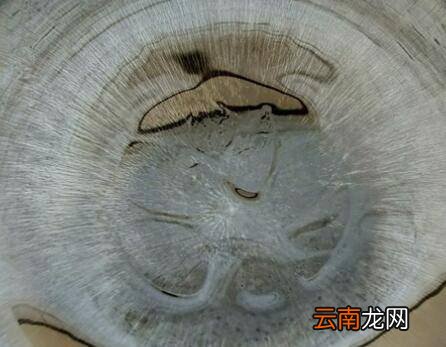 南瓜丝怎么炒好吃