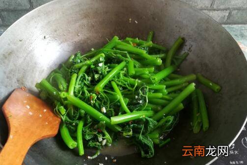 南瓜苗怎么炒好吃