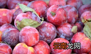 李子吃多了该怎么办 李子太多吃不完怎么办