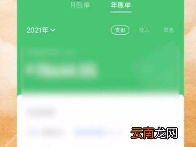 怎么看微信年账单