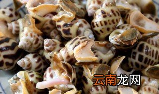买回来的花螺怎么保存 花螺的保存方法