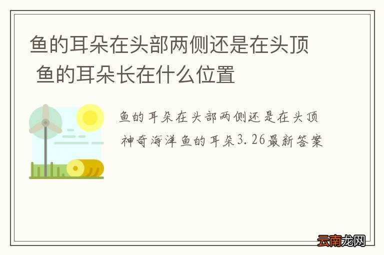 鱼的耳朵在头部两侧还是在头顶 鱼的耳朵长在什么位置