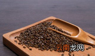 决明子怎么炒熟 决明子如何炒熟