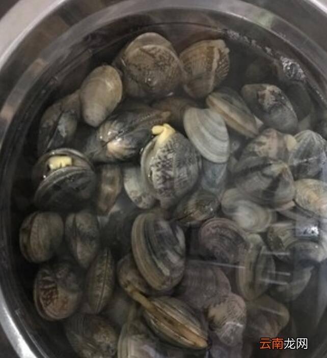 沙甲怎么炒