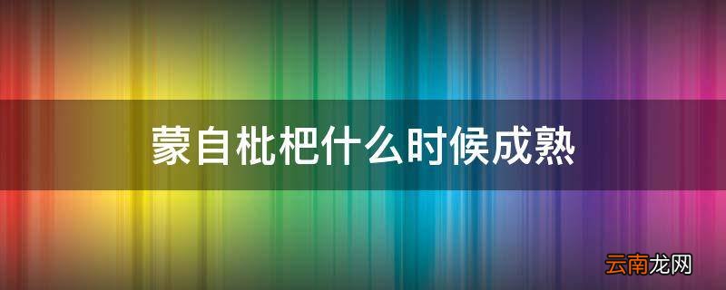 蒙自枇杷什么时候成熟