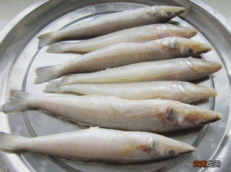 沙丁鱼怎么炒
