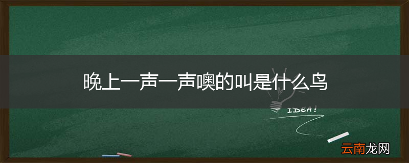 晚上一声一声噢的叫是什么鸟