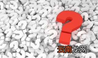海葵是植物还是动物?海葵能吃吗? 海葵是植物还是动物