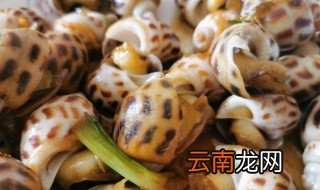 花螺冷冻后可以吃吗 花螺冷冻后能吃吗