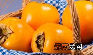 半干的柿子能放在冰箱里冷藏吗 柿子干能放冰箱保鲜吗