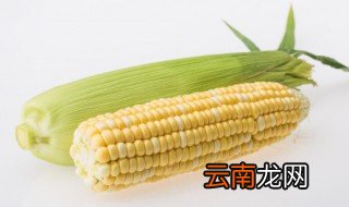 鲜玉米能放冰箱保鲜吗 鲜玉米怎么放冰箱保存