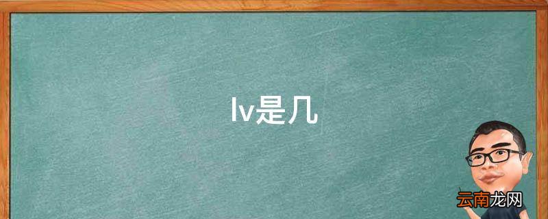 lv是几