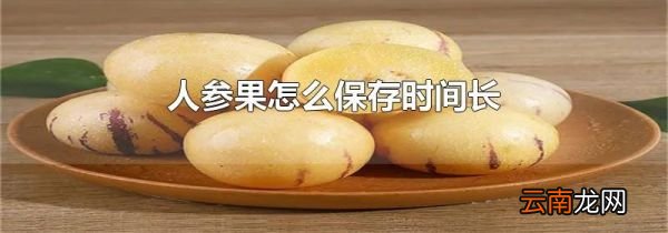 人参果怎么保存时间长
