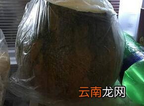 牛腿瓜怎么炒