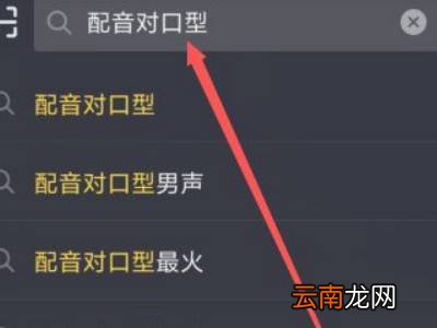 抖音对口型怎么拍成自己的作品