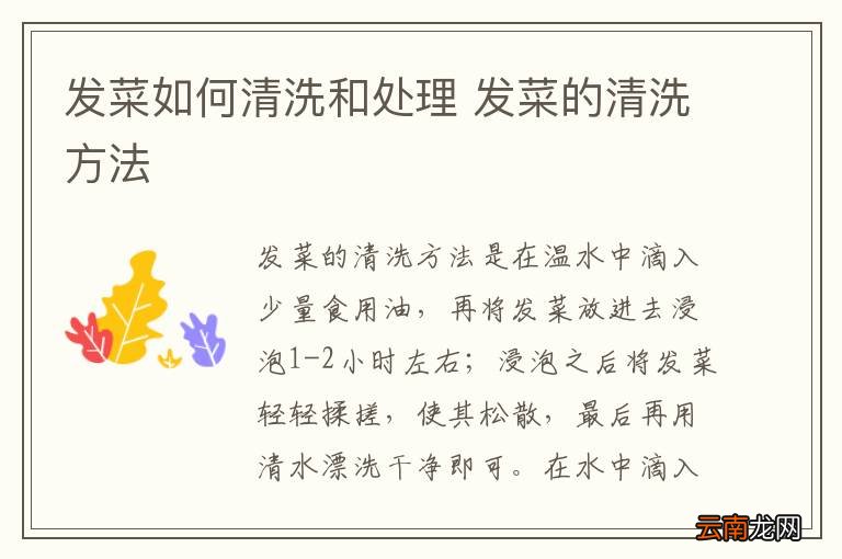 发菜如何清洗和处理 发菜的清洗方法